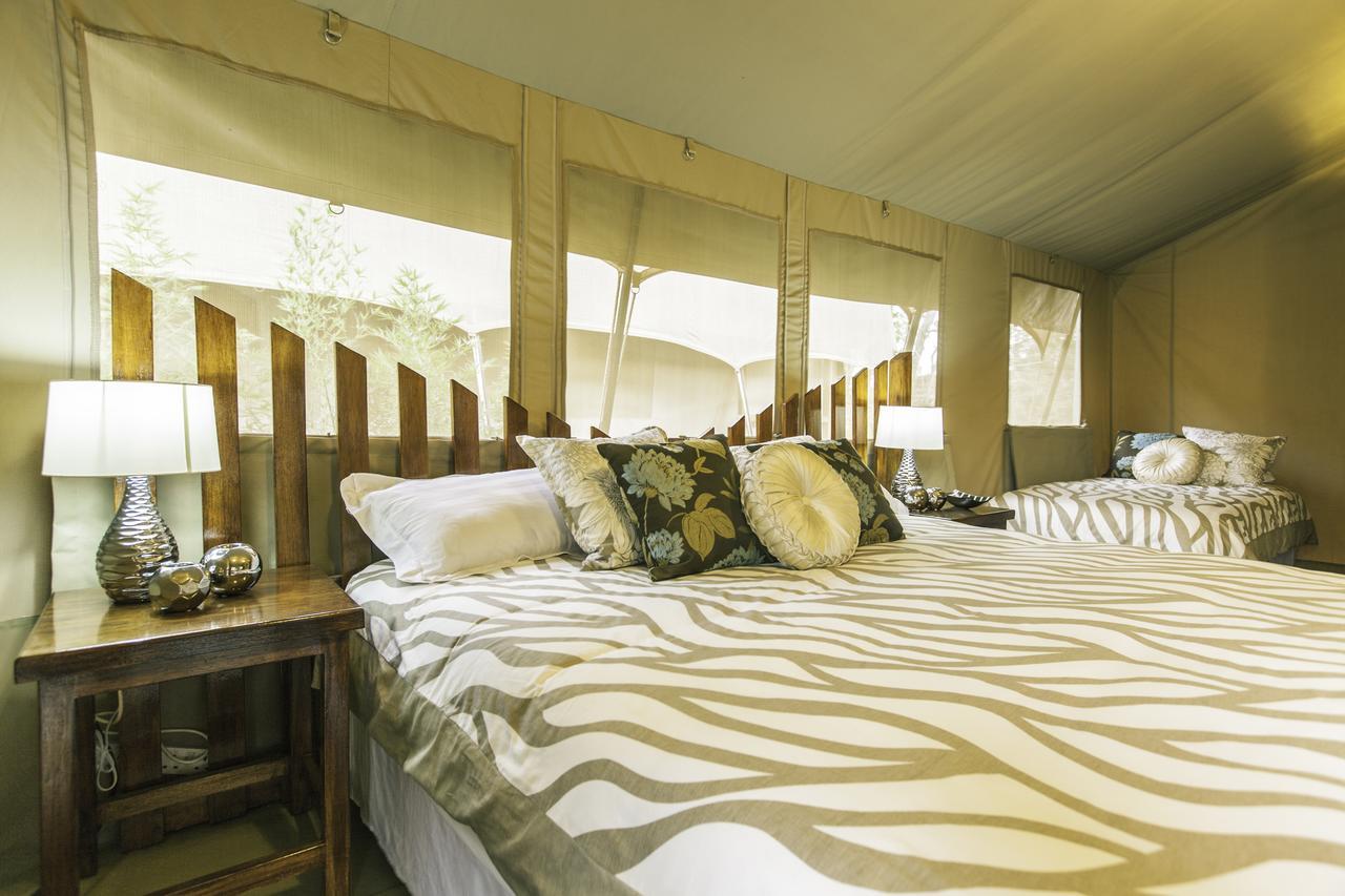 WILDEBEEST ECO CAMP LUXURY TENT NAIROBI